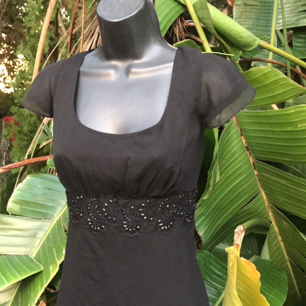 Silk dress with beading and empire bodice